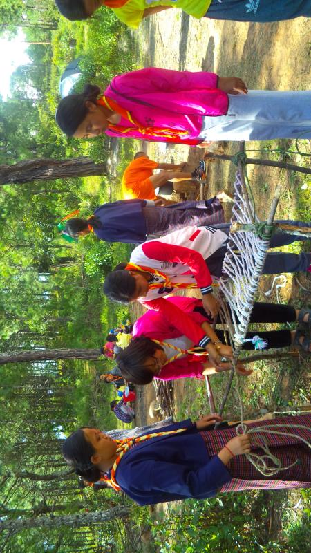 Annual Scout Movement