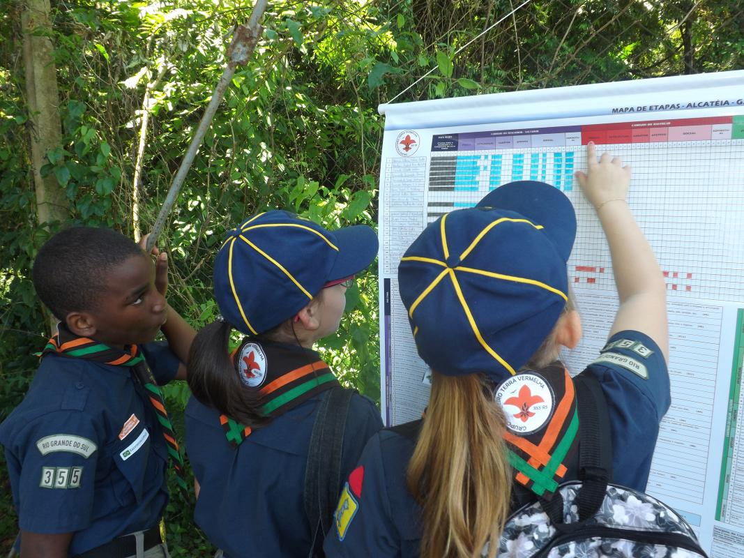 Scout life southern Brazil