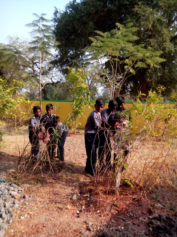 இயற்கையைப் பாதுகாப்போம்