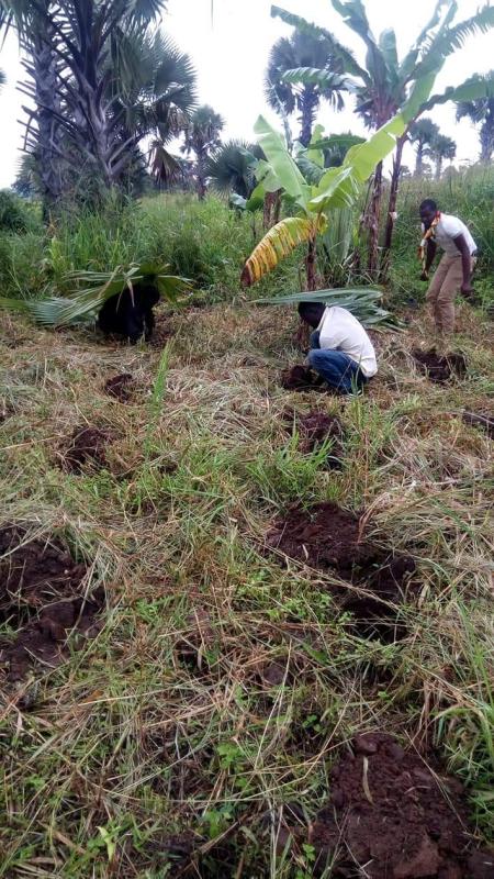 Tree planting campaign by Elgon Rover crew in Gulu Northern Uganda 