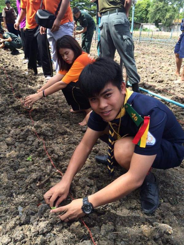 ปลูกดอกดาวเรืองวันพ่อ