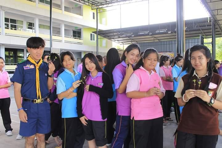 ปลูกดาวเรือง