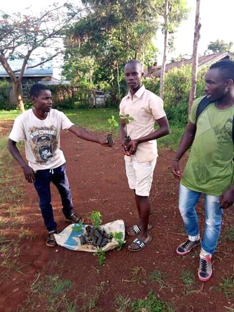 I donated trees to Awelo Anglican Church of Kenya, the youths will plant trees in remembers of EARLY PREGNANCY  and HIV/AIDS 