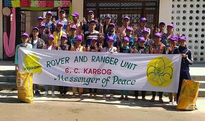 SCOUT FOR SUSTAINABLE DEVELOPMENT  "s for s"