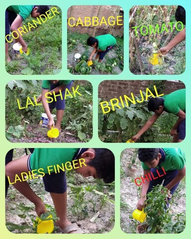 SANKALP - GO ORGANIC