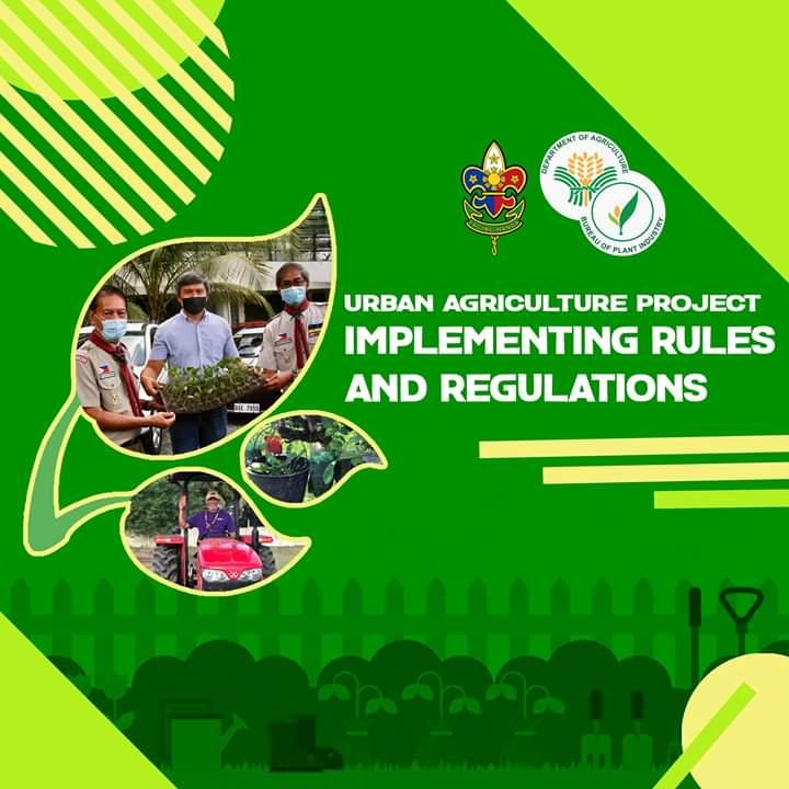 Boy Scouts Of the Philippines UAP