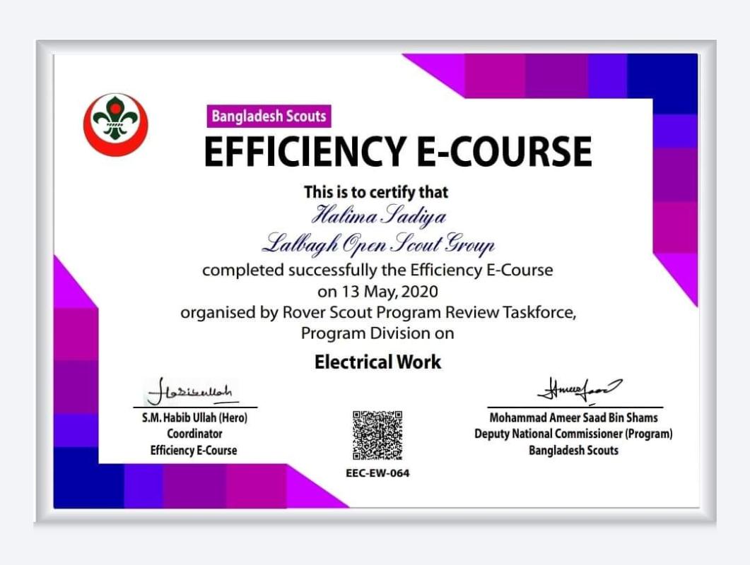 Efficiency E-cours 