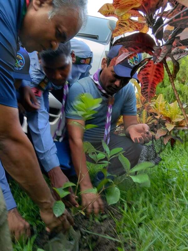 বৃক্ষরোপণ 