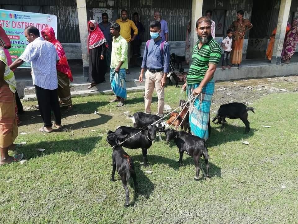Rotary Club of Dhaka Urbana Distributed livestock(Goats) at Gaibandha