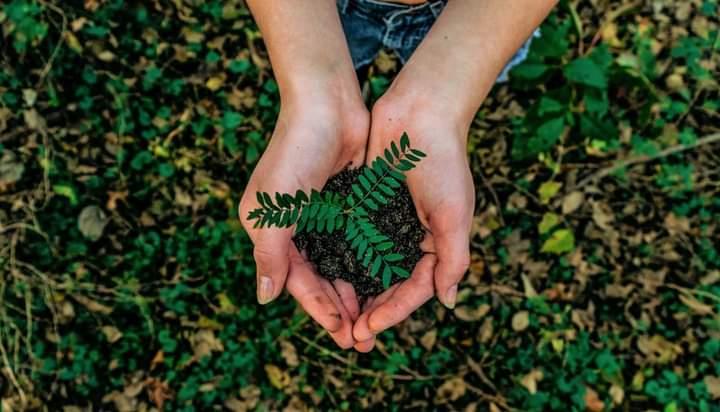 TAKE CARE OF EARTH