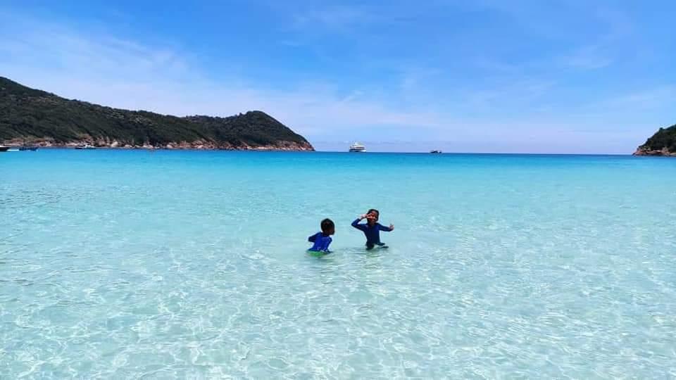A clean beach for marine life
