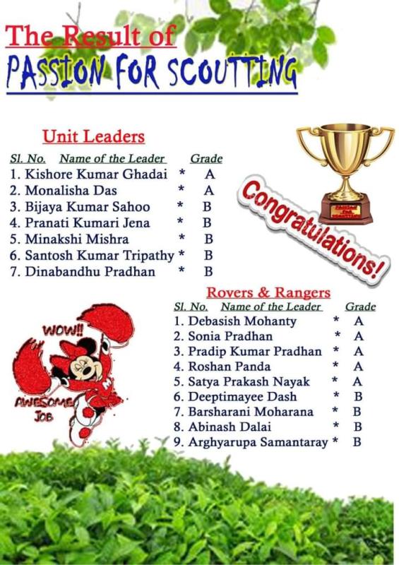 Passion for Scouting Result 