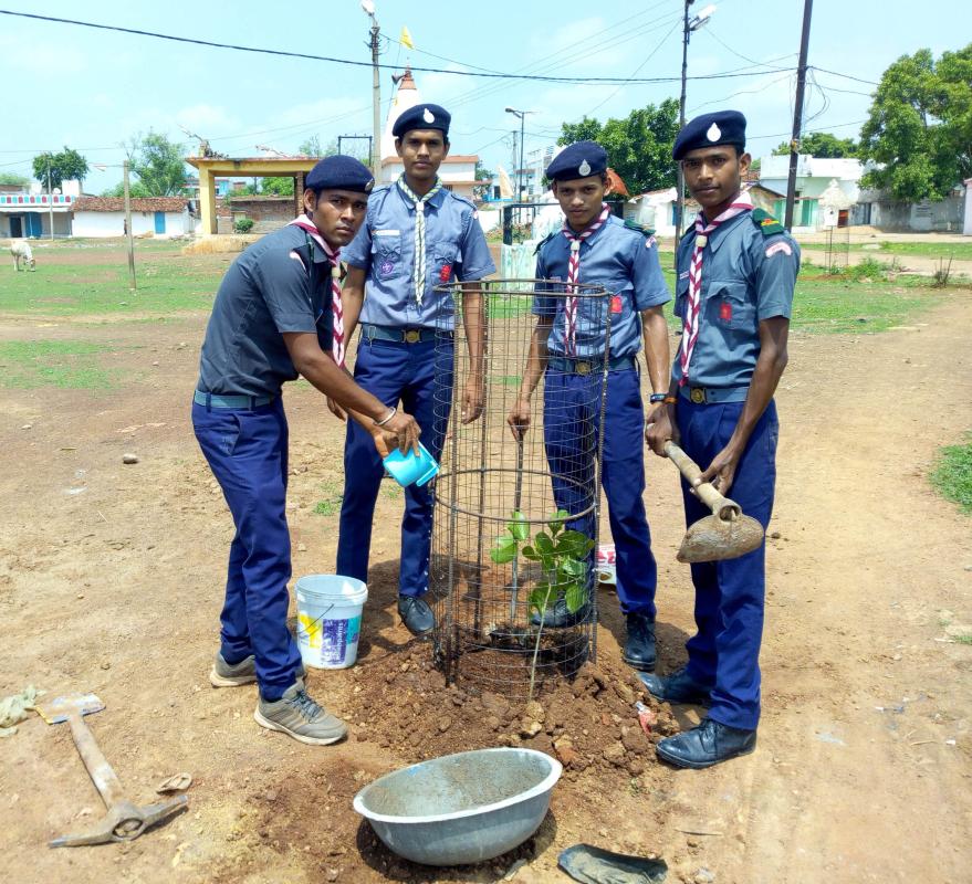 वृक्षारोपण
