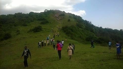 Hike for The Environment