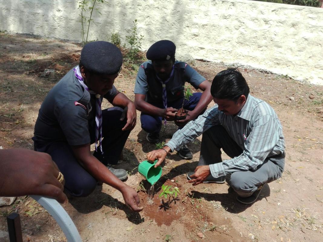 Asst. secretary service for tree plantation 