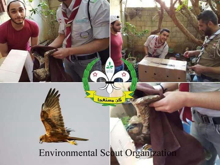 Urgent Environmental Mission ...