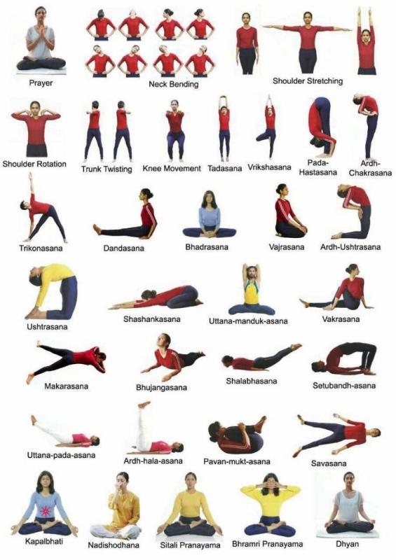 Yoga  creations 