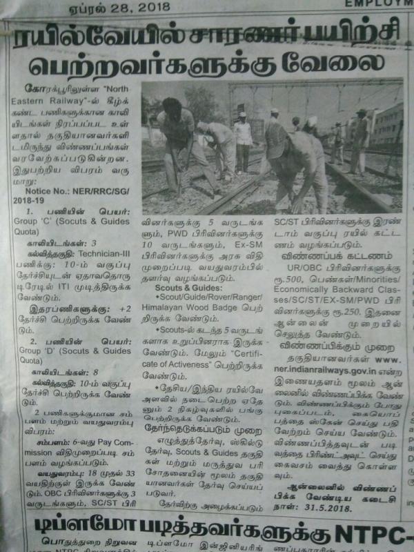 Job for scouts students 