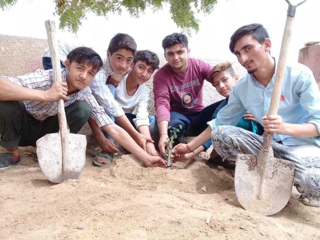 Plantation 