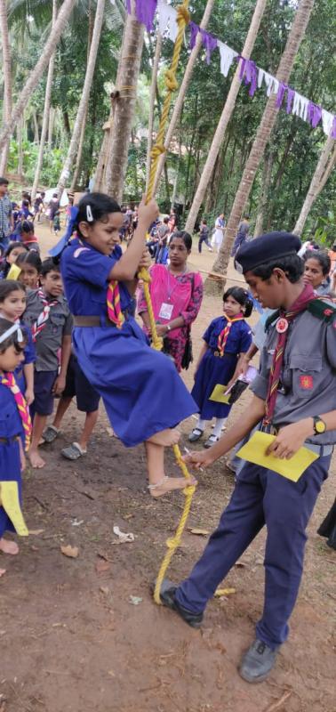 CUB BULBUL ULSAVAM
