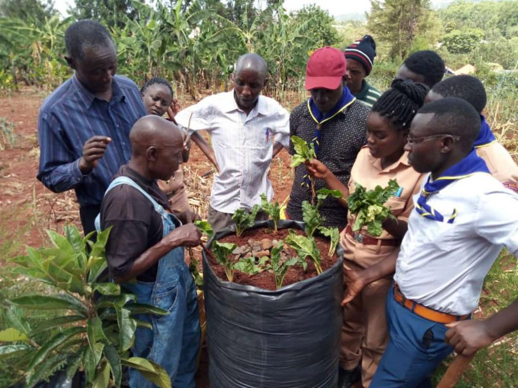 #_Scouts Smart Agriculture Initiative