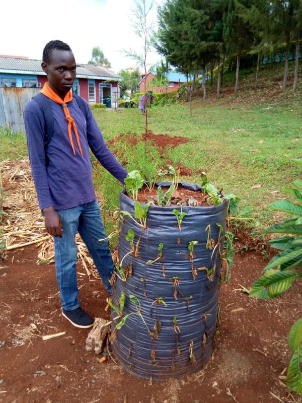Assessment of Smart Agriculture Project at Kenya,Kisii region