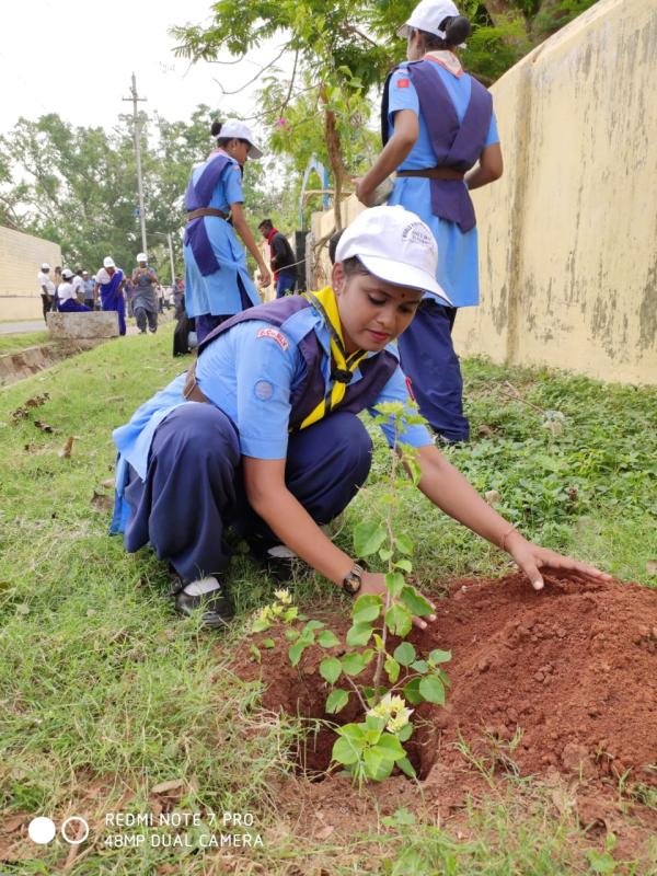world Environment Day