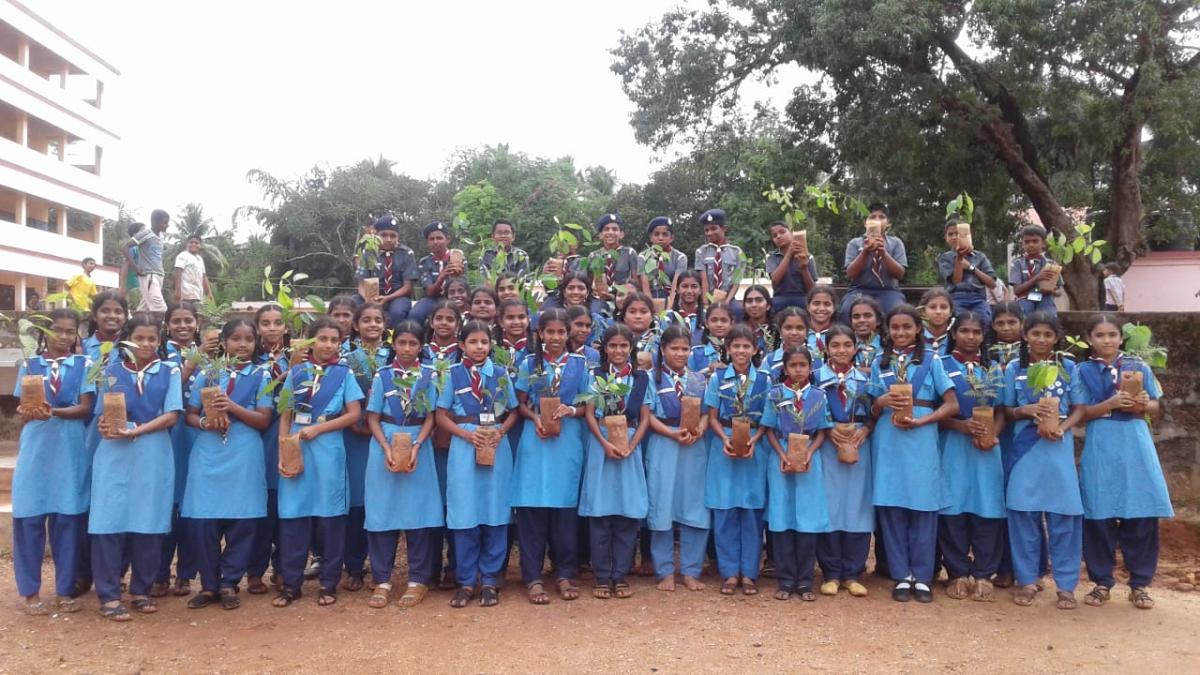 planting by scout and guide students 