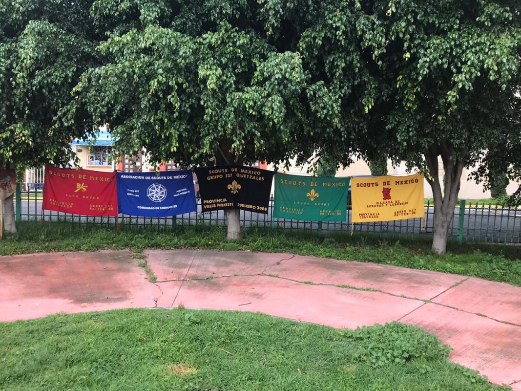 Quetzales limpiando las Américas