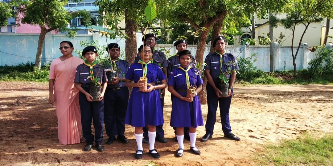 plantation by the scouts and guides of my unit (school) 