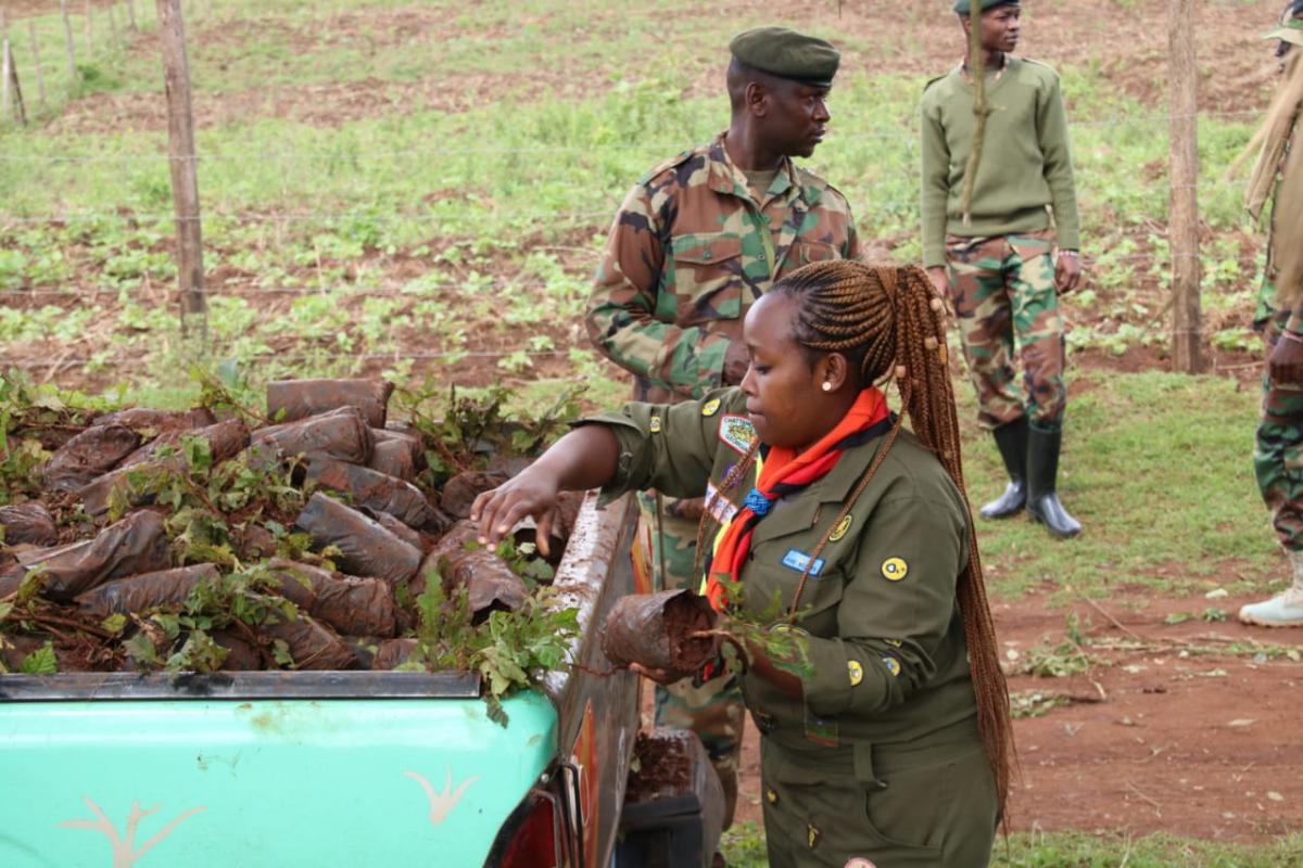 Tree planting at Kibiko Forest In Kajiado County
