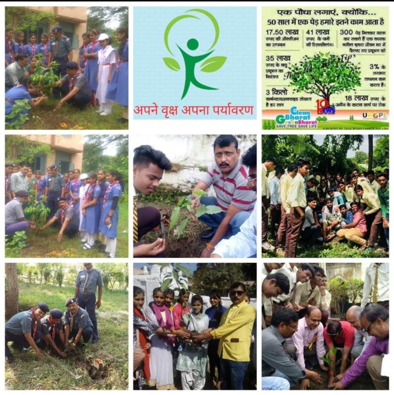 paudha ropan or Apne vriksh Apna paryavaran