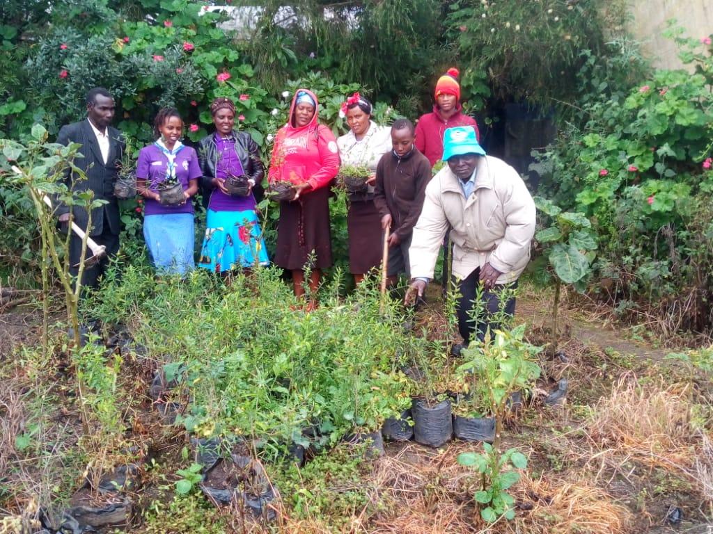 The Brown Olive Project.