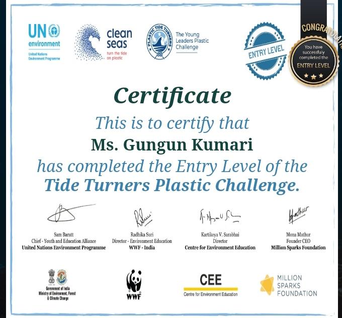 #plastictideturnerschallenge