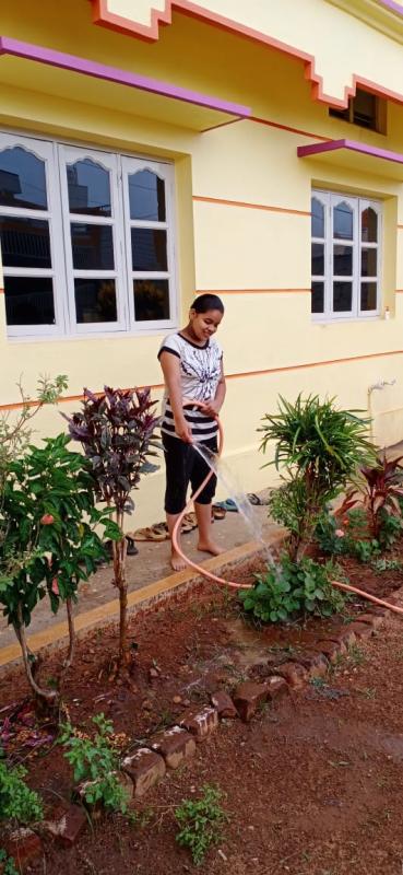 Maintain greeness in my home garden