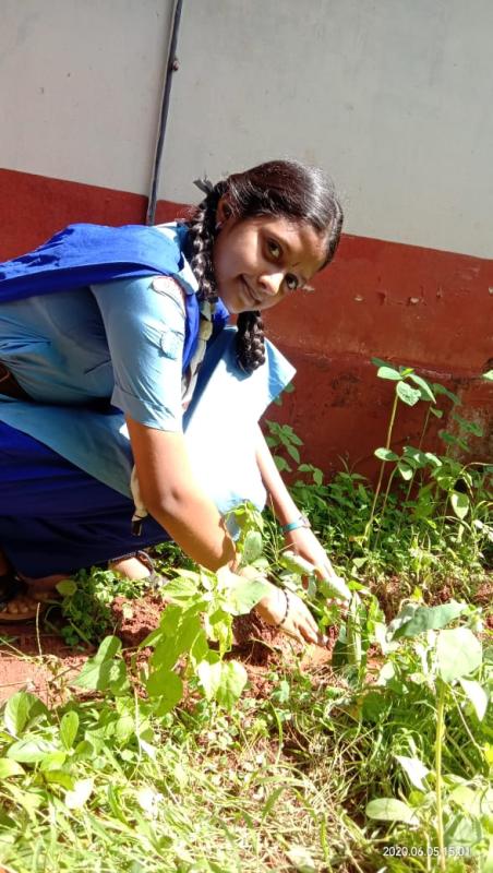 Environmental Day 2020