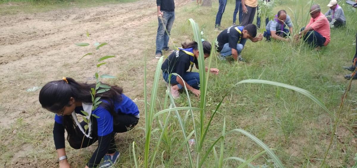 Plantation Program
