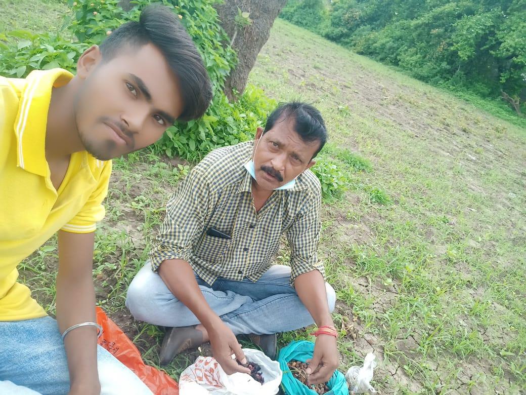 Visa Planting