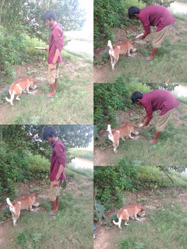 IDP 2020 ACTIVITY 8.7-PEACE PANTRY OF SHARING