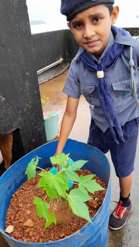 Planting and watering plants and trees