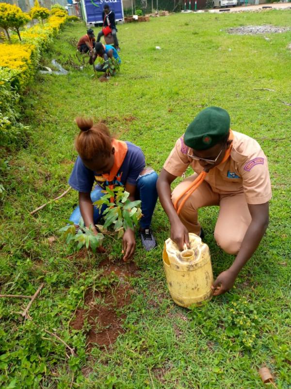 Environmental Conservation