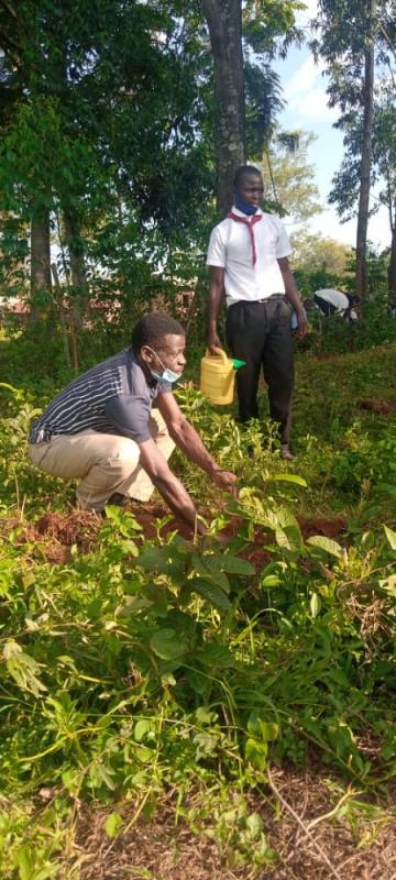 increase the  10% forest cover and a scout training at Nyarach Secondary School-Rongo