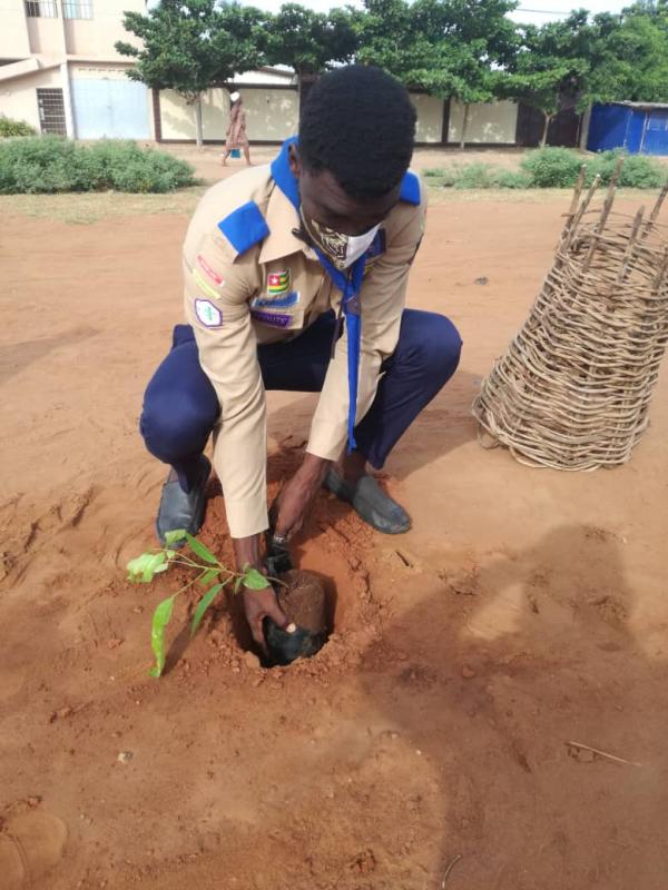 journée internationale de l'arbre