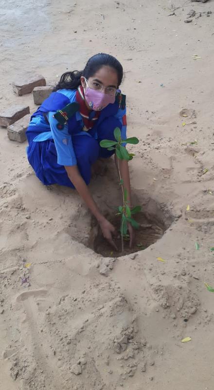 आज हमारे क्रू द्वारा पौधारोपण किया गया
