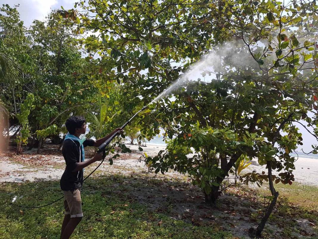 Omadhoo Scouts actively engaged Pest Control program