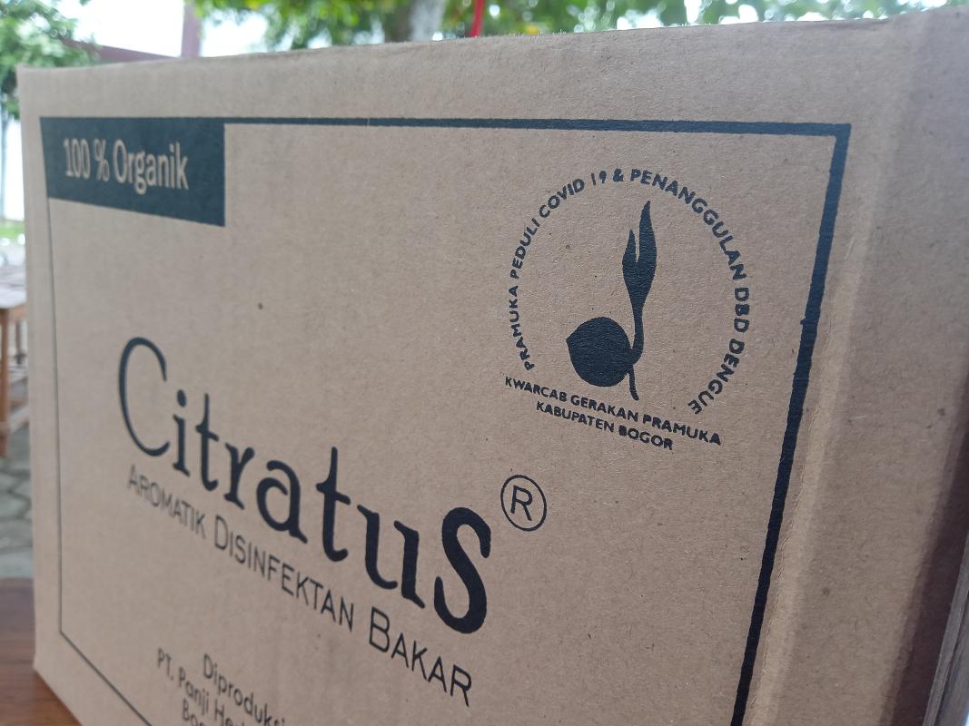 Smoldering Nature Disinfectant for Covid-19 Eradication