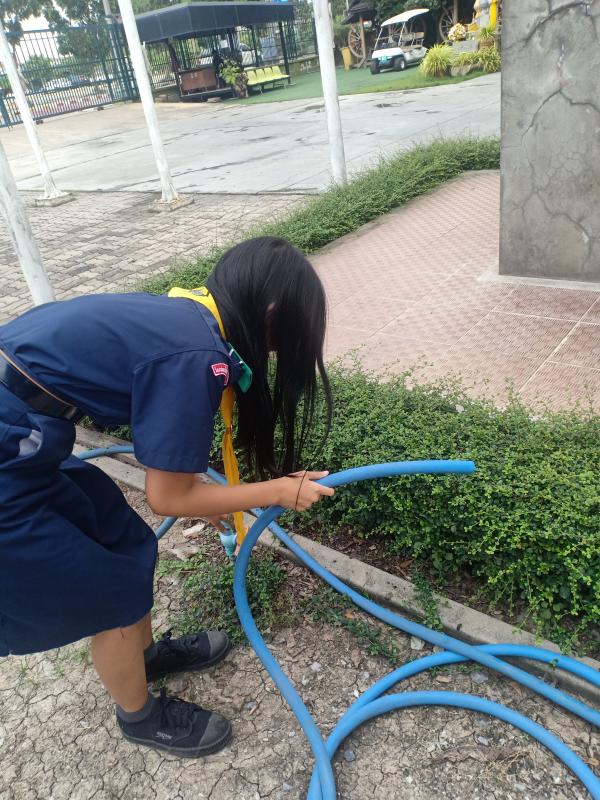 รดน้ำต้นไม้ในวิลัย