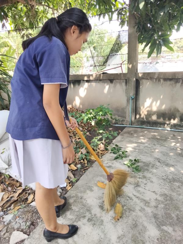 กวาดใบไม้