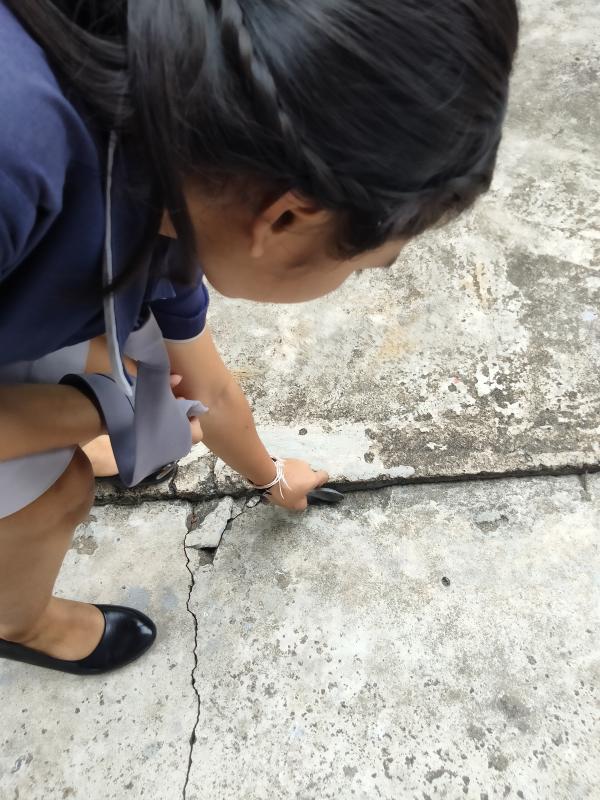 เก็บขยะ