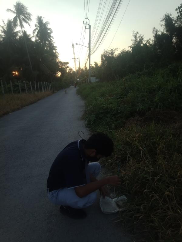 เก็บขยะ